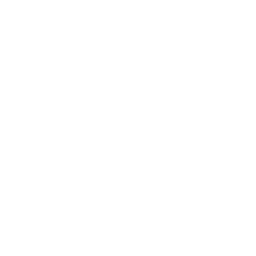 Retro Copenhagen